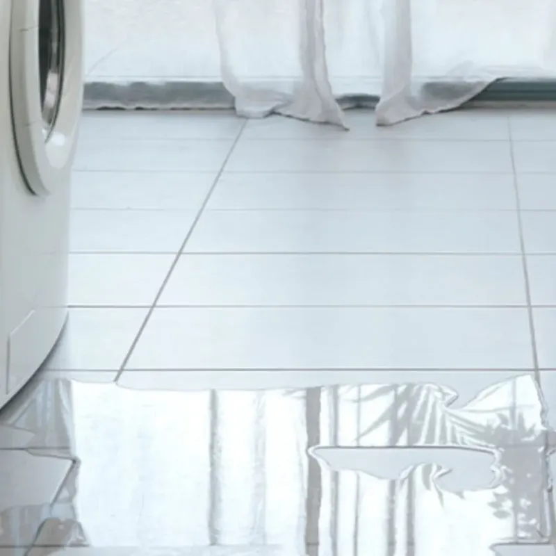 Appliance Leak Cleanup in Forest County, WI