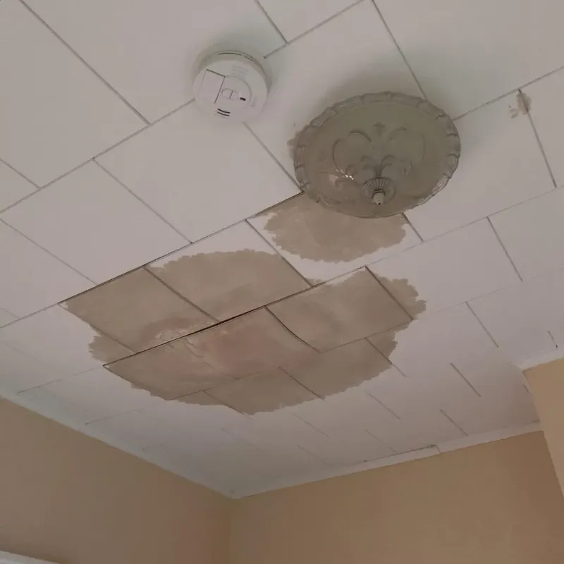 Ceiling Water Damage Repair in Forest County, WI