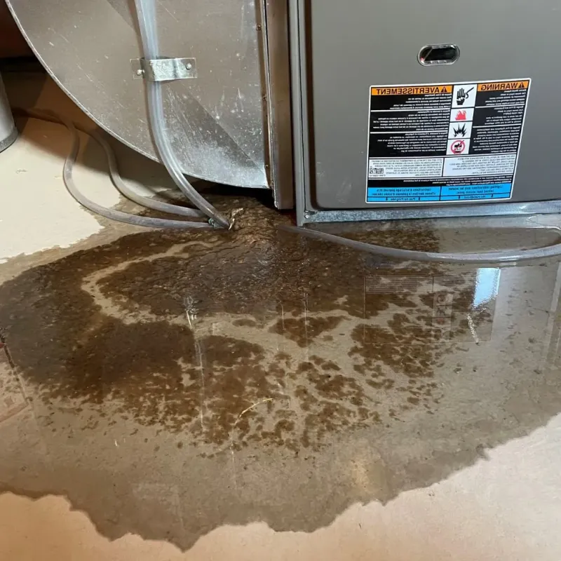 Pipe Burst and Leak Restoration in Forest County, WI