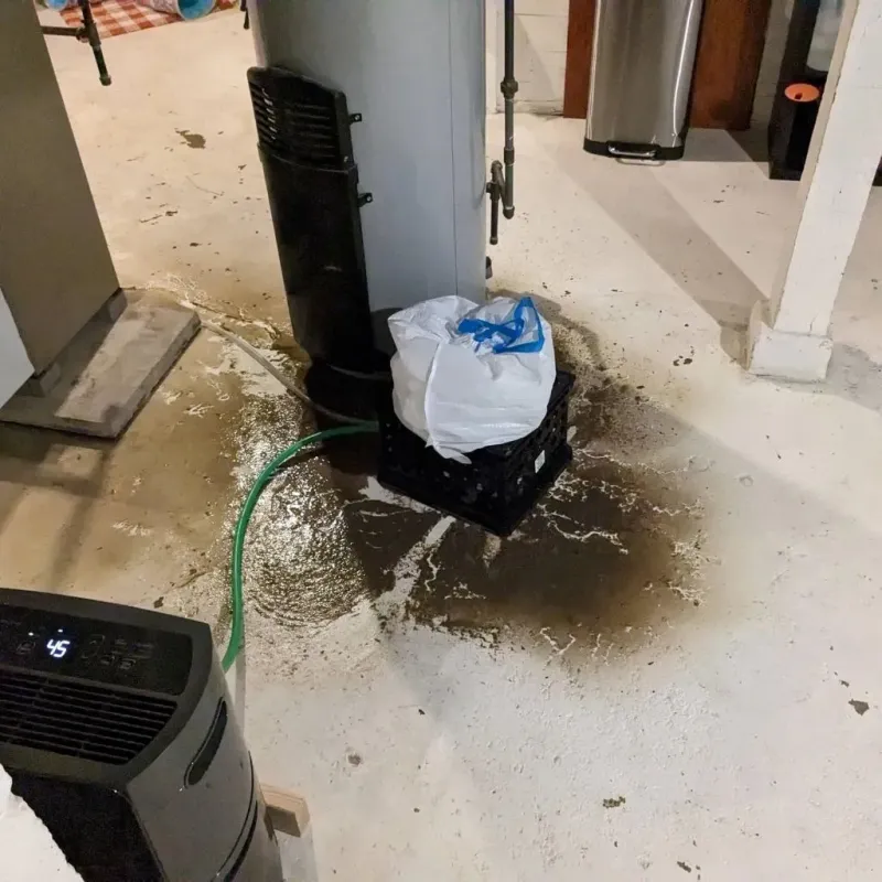 Sewage Backup Cleanup Service in Forest County, WI